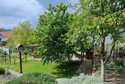 Casa de vanzare in Teaca 985 mp teren, utilita?i complete - 7