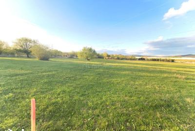 Teren de 510 mp, în Central - 4