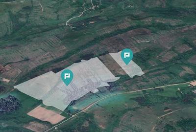 Teren arabil de 87 hectare in Bara, Timi? - 3