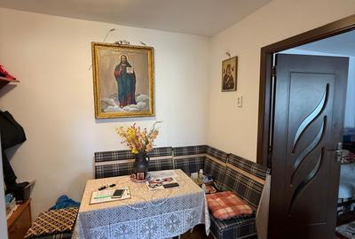 Apartament cu 2 camere semidecomandat în Gojdu - 9