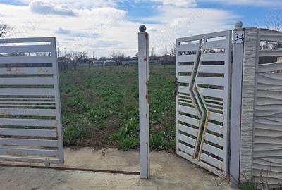 Teren de 1500 mp, în Măxineni - 3