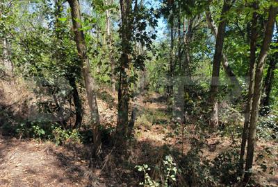 Teren 3000 mp - 1200 mp intravilan, zona Cuparu - 3