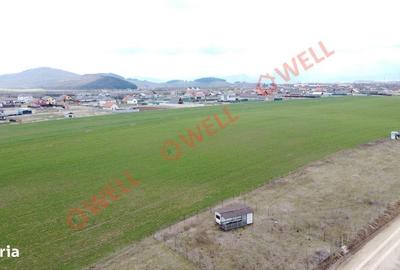Spațiu comercial, în Sânpetru - 4