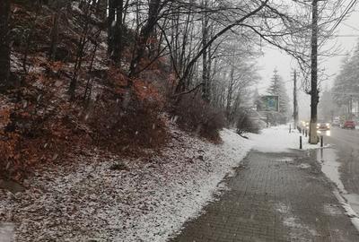 Teren de 4220 mp, în Bușteni - 7