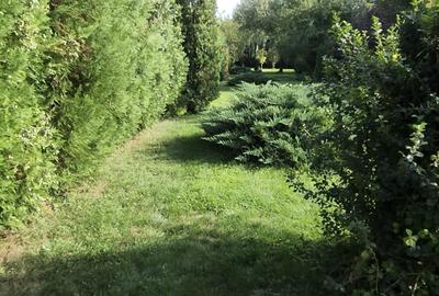 Casă individuală cu 6 camere cu Canalizare în Crevedia - 31