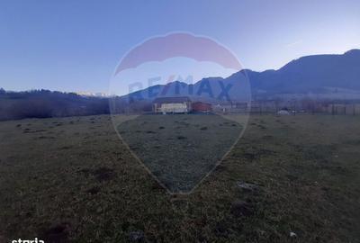 Spațiu comercial, în Central - 10