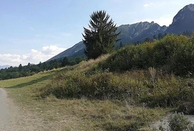 Teren de 4880 mp, în Plaiul Foii - 6
