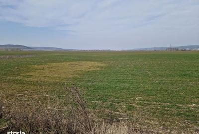 Spațiu comercial, în Leșile