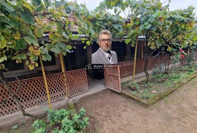 Sosdea 2 Case cu Teren 4657 Mp. - 2