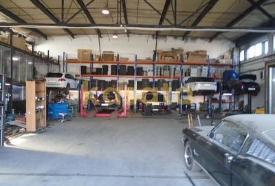 OPORTUNITATE | TEREN | HALE - 9