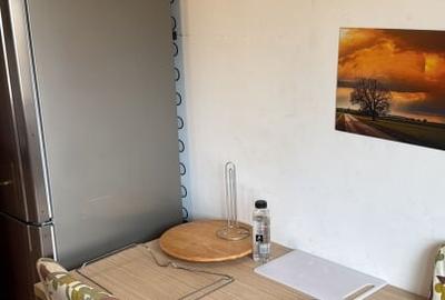 Apartament cu 2 camere semidecomandat, mobilat în Iancului - 8