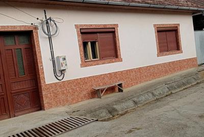 Casă cu Teren 2500 Mp în Globu Craiovei - 3