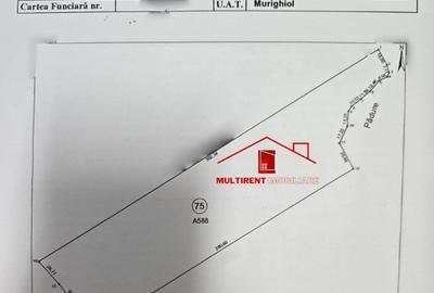 Teren de 25000 mp, în Dunavățu de Jos - 3