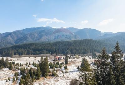 Casă cu 16 camere cu Teren 1368 Mp în Timișu de Sus - 2