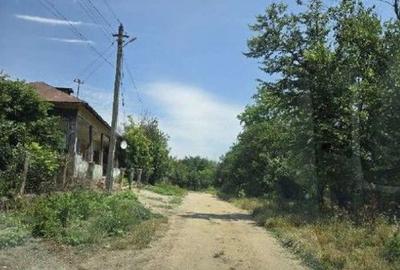 Casă cu 2 camere cu Teren 1108 Mp în Drăghiceanu - 3