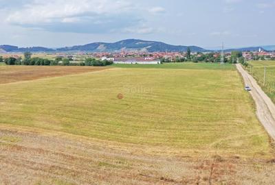 Teren Destinatie Industriala - 22