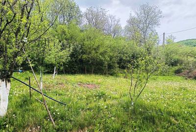 Teren de 1253 mp, în Ariceștii Zeletin - 3