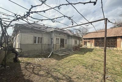 Casă cu 3 camere cu Teren 1000 Mp în Ceaca - 4