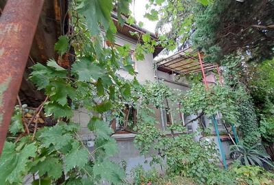 Vila Interbelica 6 camere Vatra Luminoasa - 2