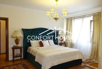 VILA SUPERBA IN IANCU NICOLAE - 18