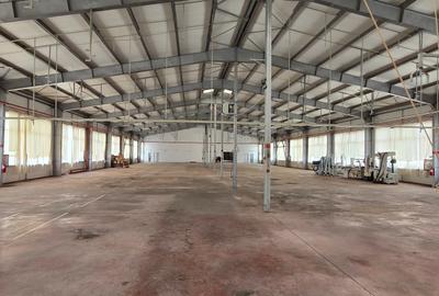 Spatii industriale  si comerciale  de inchiriat Focsani 5000 mp - 12