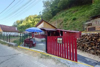 Casă cu 2 camere cu Teren 307 Mp în Criș - 12