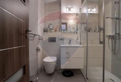 Apartament cu 2 camere decomandat, mobilat în Noua - 6