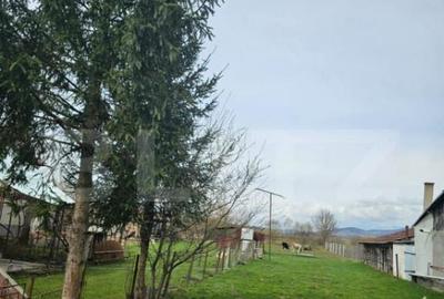 Casa batraneasca cu teren generos, in localitatea Dedra - 2