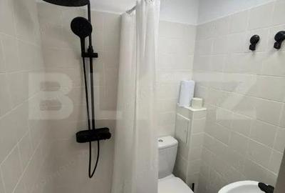 Garsoniera Piata Alba Iulia - renovata, ideala Airbnb/Booking - 3