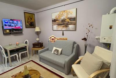 Apartament cu 2 camere semidecomandat, mobilat în Păcurari - 8