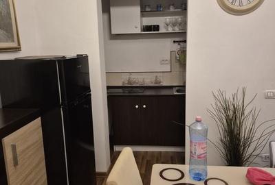 Calea Victoriei apartament 2 camere mobilate de inchiriat - 17