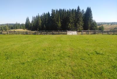 Teren Construcții intravilan de 3538 mp, în Măguri - 1