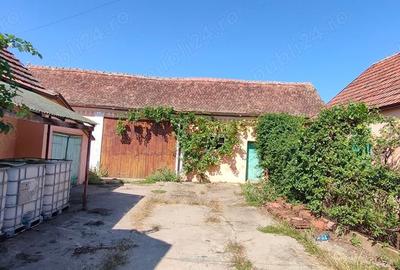 Casă cu 4 camere cu Teren 3000 Mp în Alioș - 1