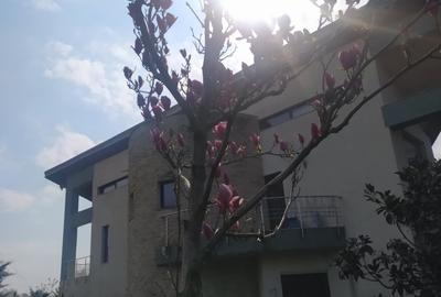 Casă cu 5 camere cu Canalizare în Mogoșoaia - 10