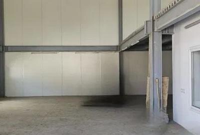 Spatiu industrial 270mp | Prelungirea Ferentari | Giurgiului - 7