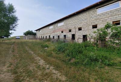 Teren partial intravilan-300000mp Stroiesti-Trei Movile, Suceava - 2