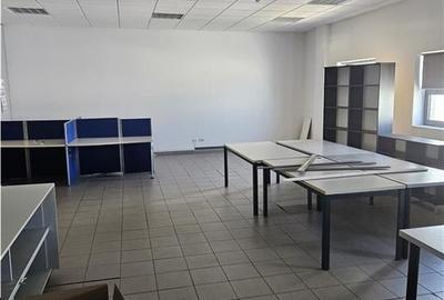 Spatiu Industrial - 5000 mp - Productie - Depozitare - 16
