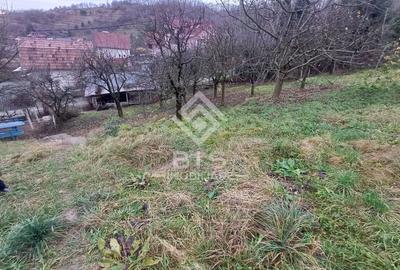 Teren Construcții intravilan de 1300 mp, în Periferie - 2