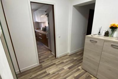 Apartament 3 camere renovat Craiter - 3