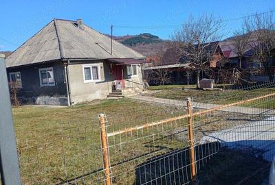 Casa +gradina - 3