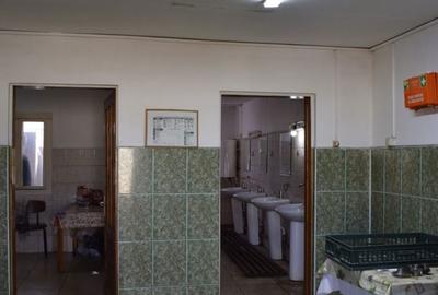 Spațiu comercial, de 1,710 mp, în Măgurele - 6