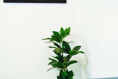 Ap cu 3 camere de închiriat | Mărăști – zona Fabricii / Kaufland - 11