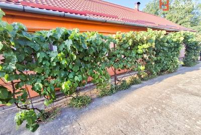 Casă individuală cu 5 camere cu Canalizare în Giarmata - 2