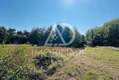 Un peisaj de poveste, ideal pentru investi?ie, Comuna Crasna - 8