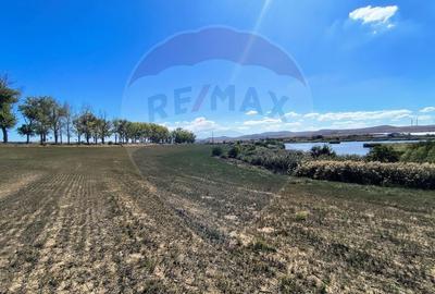 Teren agricol extravilan de 10000 mp, în Mihail Kogălniceanu - 8