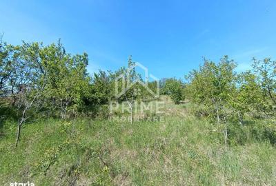 Spațiu comercial, în Pâclișa - 3