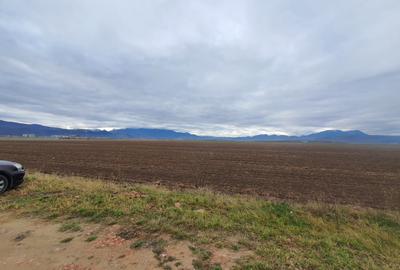 Teren rezidential Brasov – Cristian zona de case - 3