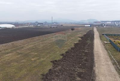 Teren 947 mp Sanpetru | Comision 0% | PUZ & CU - 8