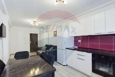 Apartament cu 2 camere semidecomandat, mobilat în Sânpetru - 14
