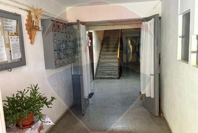 Apartament cu 2 camere decomandat, mobilat în Săsar - 3